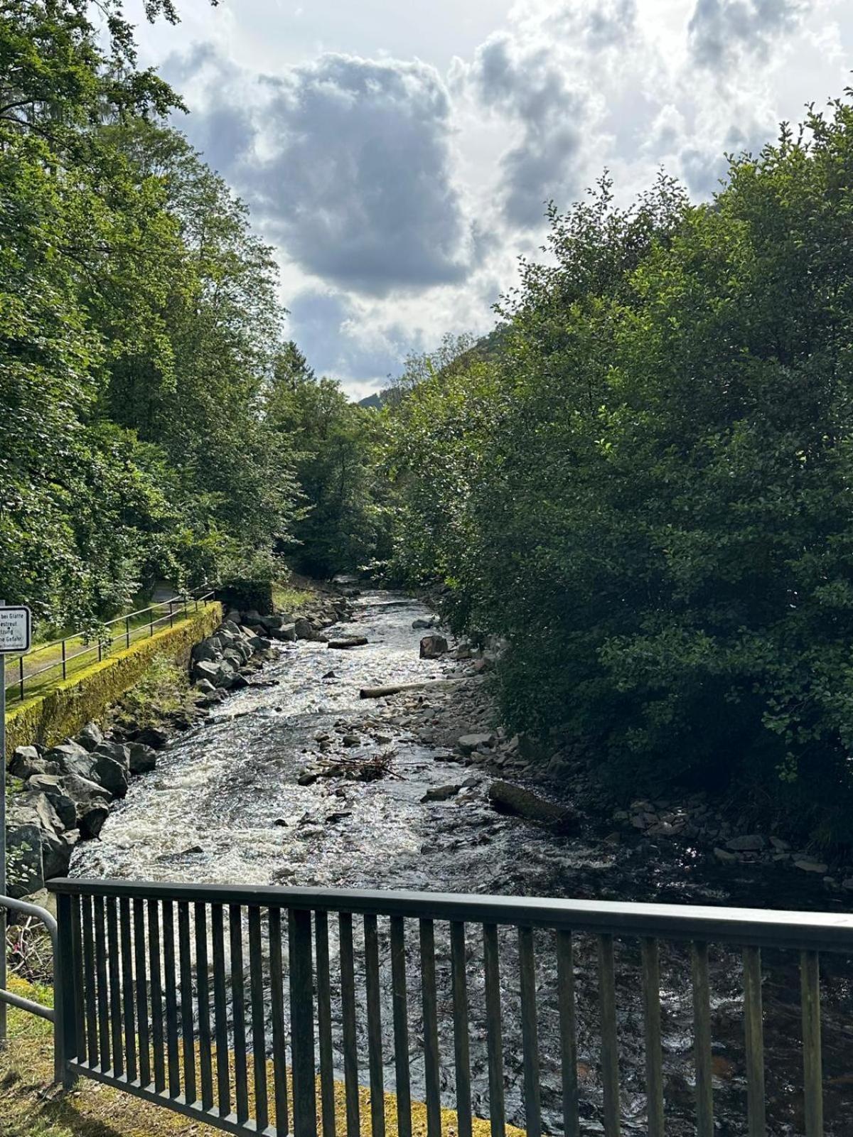 Ferienbutzen Harz Heikenberg, Bad Lauterberg Mit Schwimmbad Und Sauna Экстерьер фото