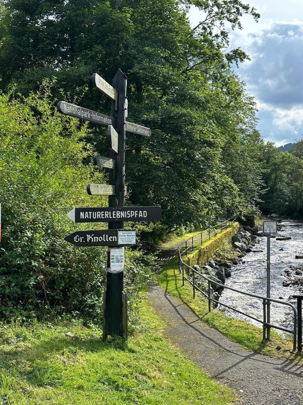 Ferienbutzen Harz Heikenberg, Bad Lauterberg Mit Schwimmbad Und Sauna Экстерьер фото