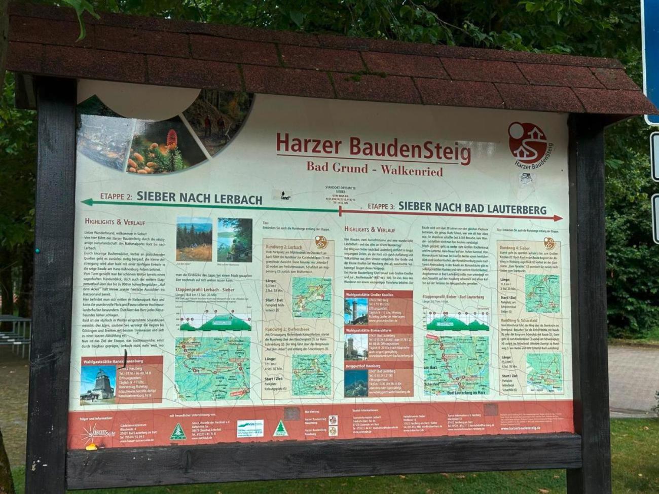 Ferienbutzen Harz Heikenberg, Bad Lauterberg Mit Schwimmbad Und Sauna Экстерьер фото